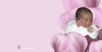 roze geboortekaartenontwerp